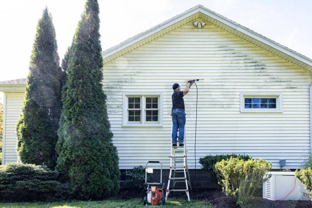 Best Roof Power Washing Services  in Brookville, OH